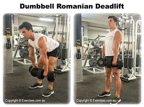 Dumbbell Romanian Deadlifts