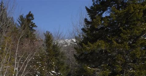 Welcome to HikingMaine.Org: Acadia National Park - Snowshoeing Parkman ...