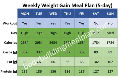 Weight Gaining Workout Chart | EOUA Blog