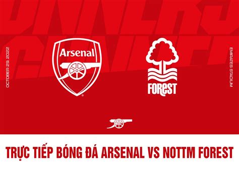 Trực tiếp bóng đá hôm nay: Arsenal vs Nottingham; Trực tiếp Ngoại hạng Anh: Arsenal - Nottm Forest