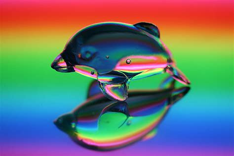 rainbow dolphin | * Yumi * | Flickr