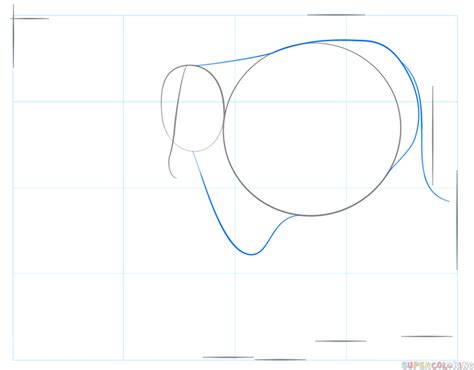 How to draw a longhorn | Step by step Drawing tutorials