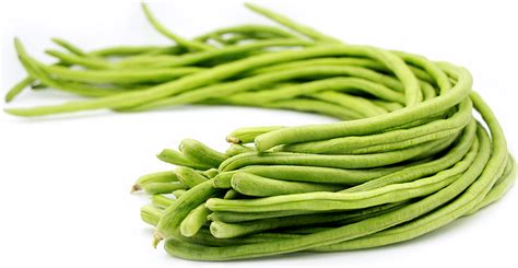 long bean / string bean / ถั่วฝักยาว | Long bean, Chinese long beans, Beans