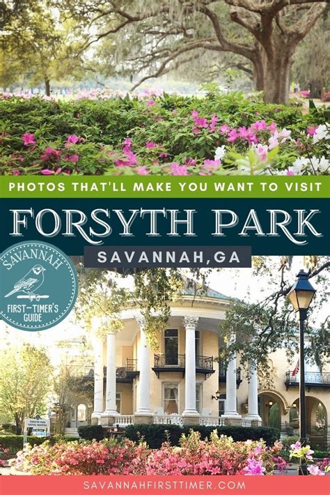 Discover the Beauty of Forsyth Park