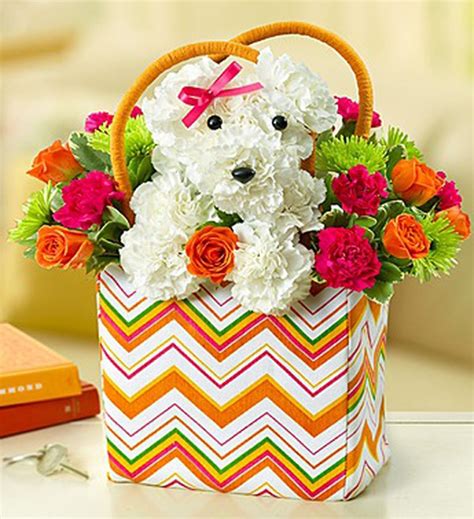 17 Beautiful Flower Arrangements For Dog Lovers