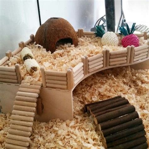 32 best Homemade Hamster toys images on Pinterest | Hamster stuff ...