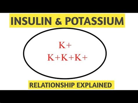 Insulin and potassium relationship (glucose and potassium relationship ...