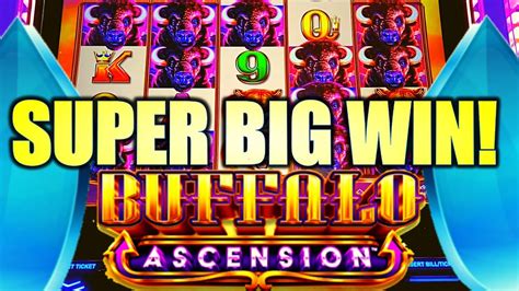 ★SUPER BIG WIN!★ STAMPEDE!! NEW BUFFALO ASCENSION Slot Machine (Aristocrat Gaming) - YouTube