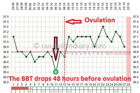 Determining ovulation by Basal Body Temperature (Works!) - OvulationDiary.com