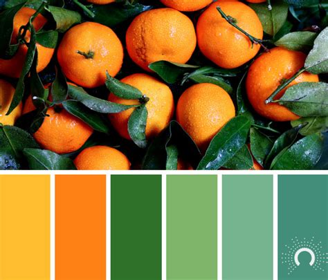 Pin by Bareket . on a punch of colour | Orange color palettes, Color schemes colour palettes ...