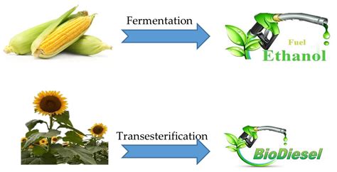 Sustainability | Free Full-Text | Role of Biofuels in Energy Transition ...