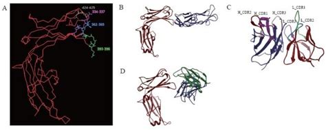 Theoretical analysis of E34. A, The identified key residues in E34 to ...