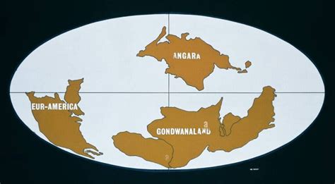 Gondwana Land: The supercontinent of the past