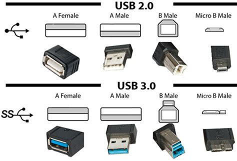 USB 2.0 vs 3.0 Cables: What to Know Before You Buy - Wandkey