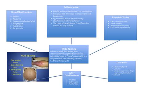Concept Map Third Spacing - Third Spacing when too much fluid moves ...