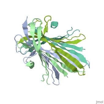 Fibroins - Proteopedia, life in 3D