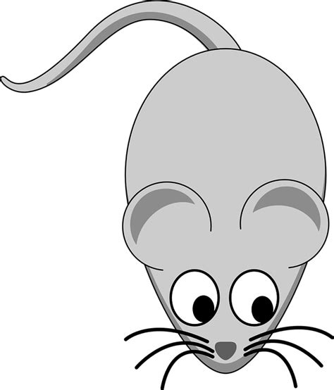 Mouse Rodent Animal · Free vector graphic on Pixabay