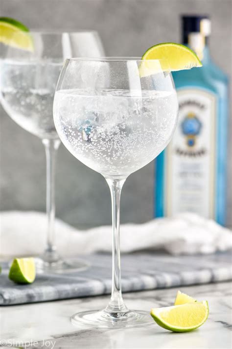 Gin and Tonic Recipe