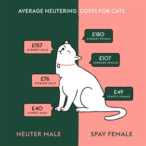 Does It Cost More To Spay Or Neuter A Dog