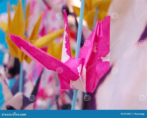 Pink origami stock image. Image of sendai, asia, traditional - 816967