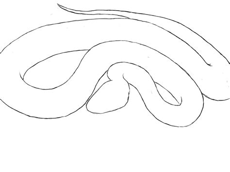 How To Draw A Snake - Draw Central