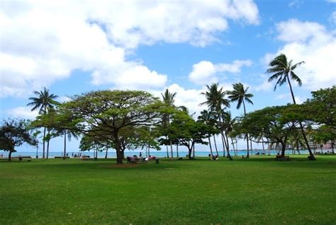 Kapiolani Regional Park - Great Runs