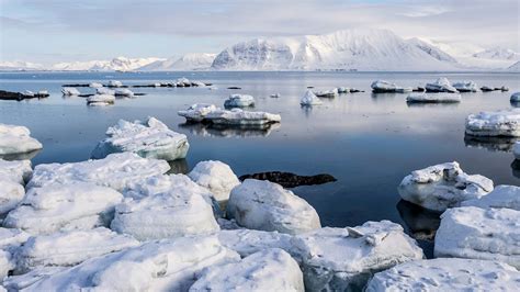 5 Day Partially Guided : Best of Svalbard Winter Classic : Nordic Visitor