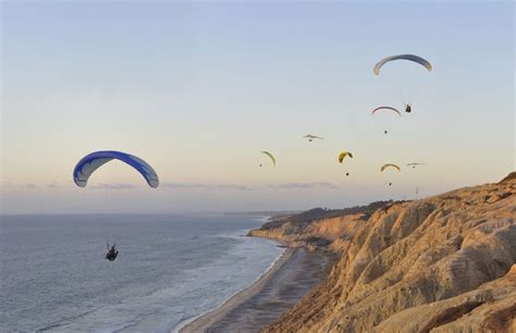 Wildlife You Might See on Your Next Torrey Pines Hike