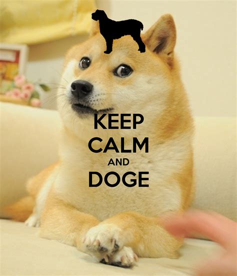 Doge Meme Wallpaper - WallpaperSafari