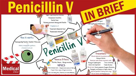 Penicillin V ( Pen Vee K ): What is Penicillin Used For, Dosage, Side Effects & Precautions ...