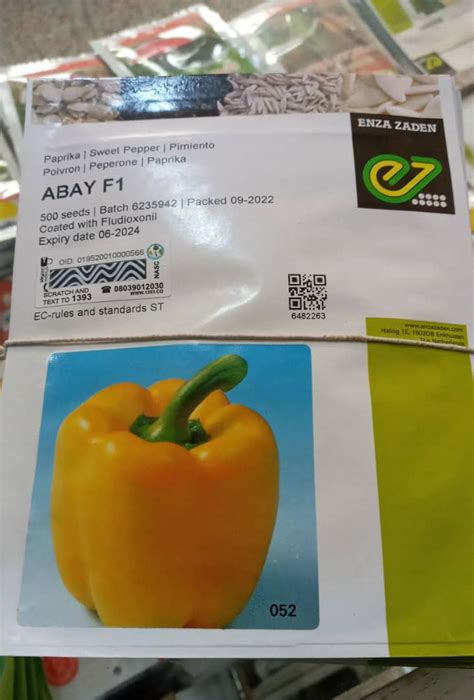 Enza Zaden Abay F1 Yellow 500 seeds - HTS Farms