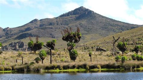 Mount Elgon National Park | Hiking Mount Elgon