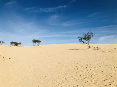 Best 10 Hiking Trails in Wilsons Promontory National Park | AllTrails