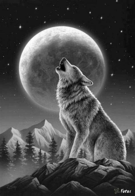 Pin by Nadia Amin on wolf | Wolf painting, Wolf spirit animal, Wolf ...