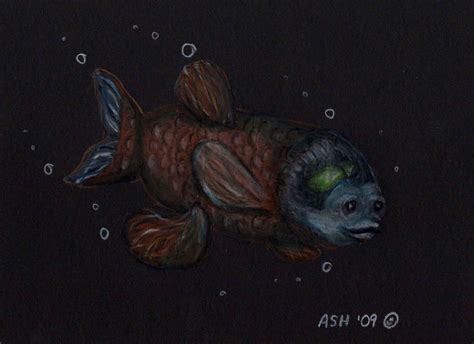 Pacific Barreleye by SpacerHunterZORG on DeviantArt