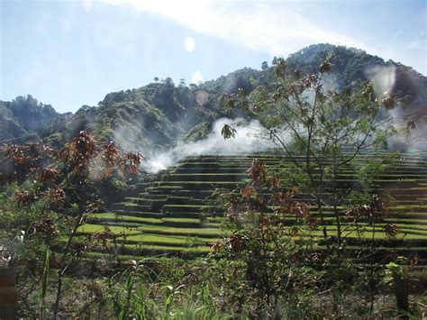 Sagada Rice Terraces | sagada-igorot.com