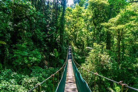 La Fortuna Arenal Hanging Bridge Costa Rica | La Fortuna Are… | Flickr