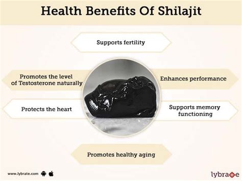 Shilajit Benefits, Medicinal Uses And Its Side Effects | Lybrate