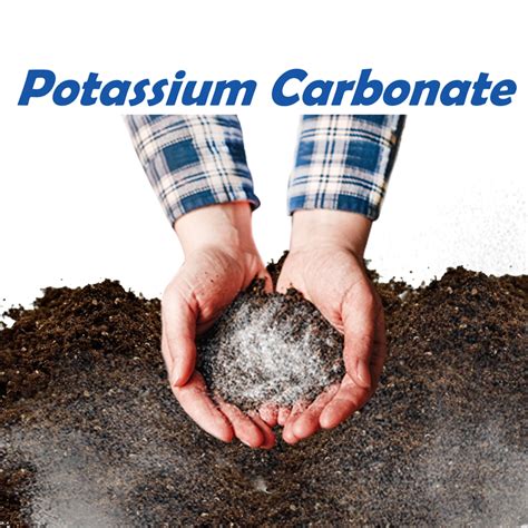 Potassium Carbonate | Taiwantrade.com