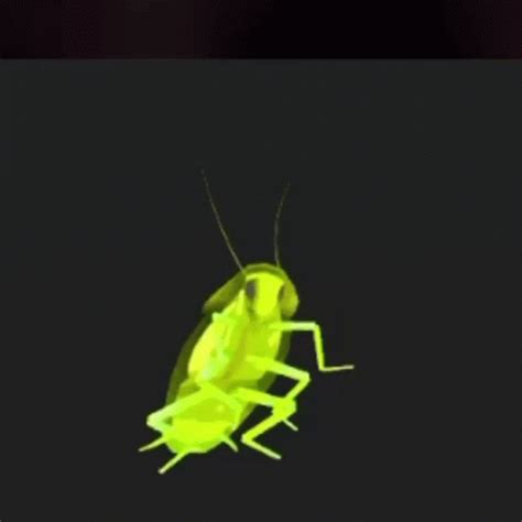 Dancing Cockroach GIF - DancingCockroach - Discover & Share GIFs ...