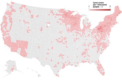 Lyme Disease In Florida Map