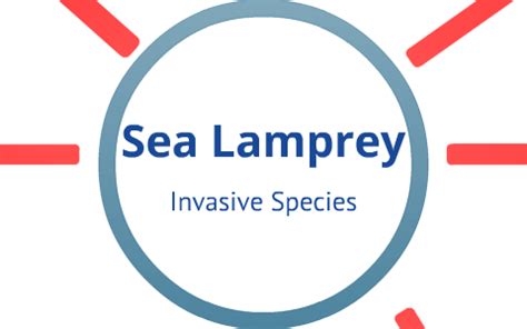 Sea Lamprey-Invasive Species Assignment by Dawson Galway on Prezi