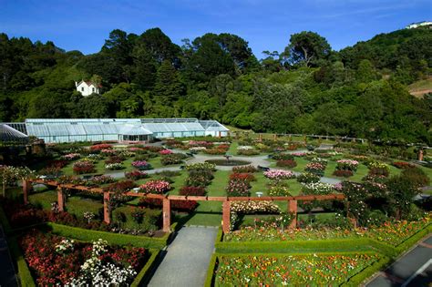 Wellington Botanic Garden
