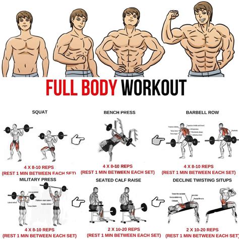 🚨 Full body workout | 👇Full-Body Fat-Burning - weighteasyloss.com - Fitness Lifestyle | Fitness ...
