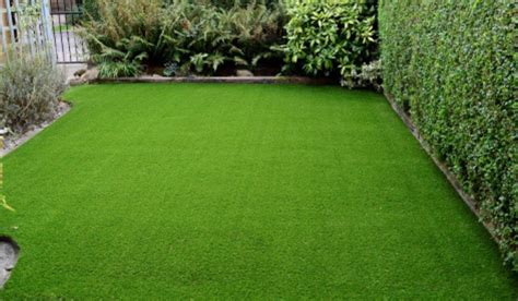 Garden grass: How to cover bare patches with bright green layer | Housing News