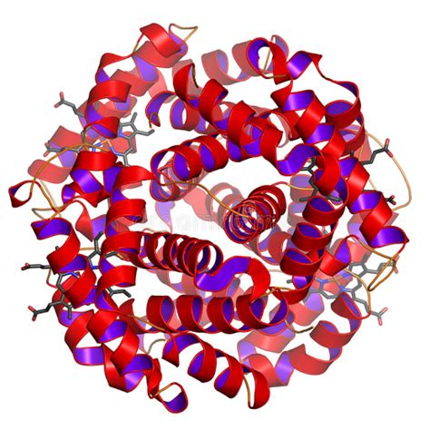 Membrana plasmatíca