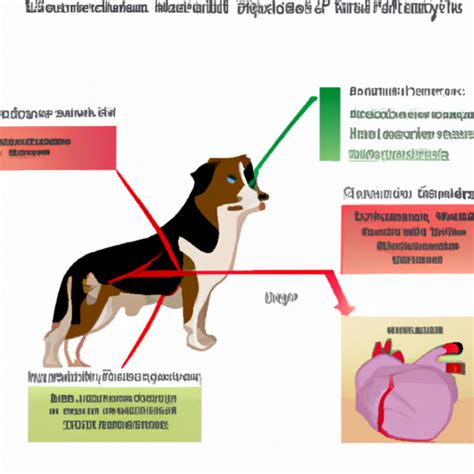 What Causes DCM in Dogs? - One Top Dog