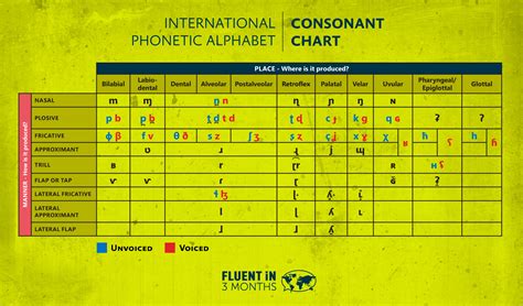 Ipa Phonetic Alphabet Chart Konsonan | sexiezpix Web Porn