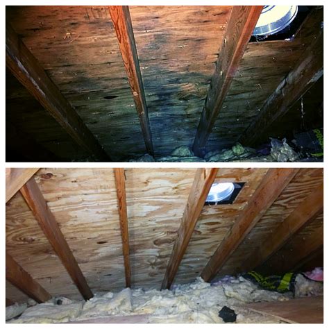 Attic Mold Inspection and Removal Lombard, IL, Manhattan, IL