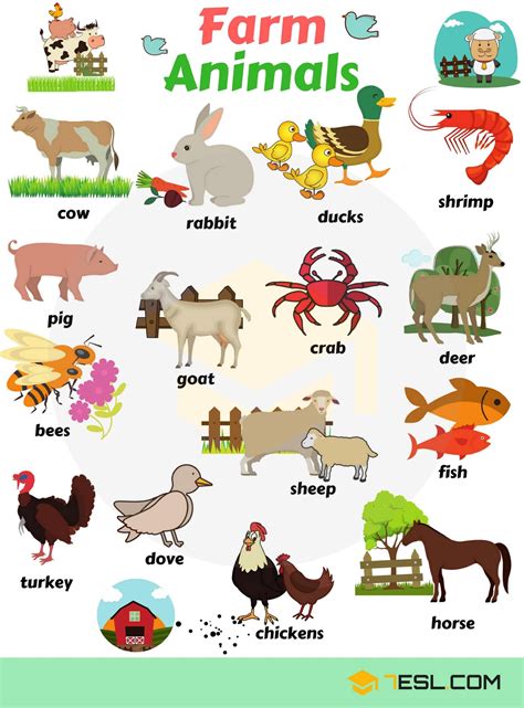 Farm Animals List For Kindergarten